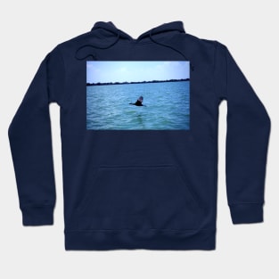 Beautiful lake Hoodie